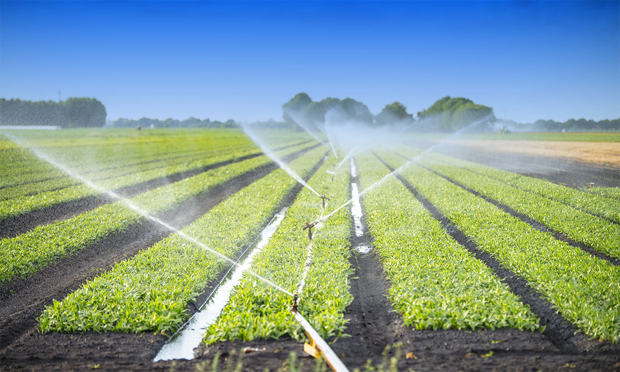 Smart Irrigation System in Pakistan